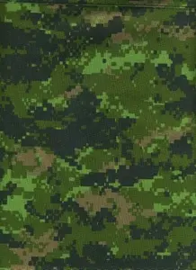 Камуфлаж MULTICAM
